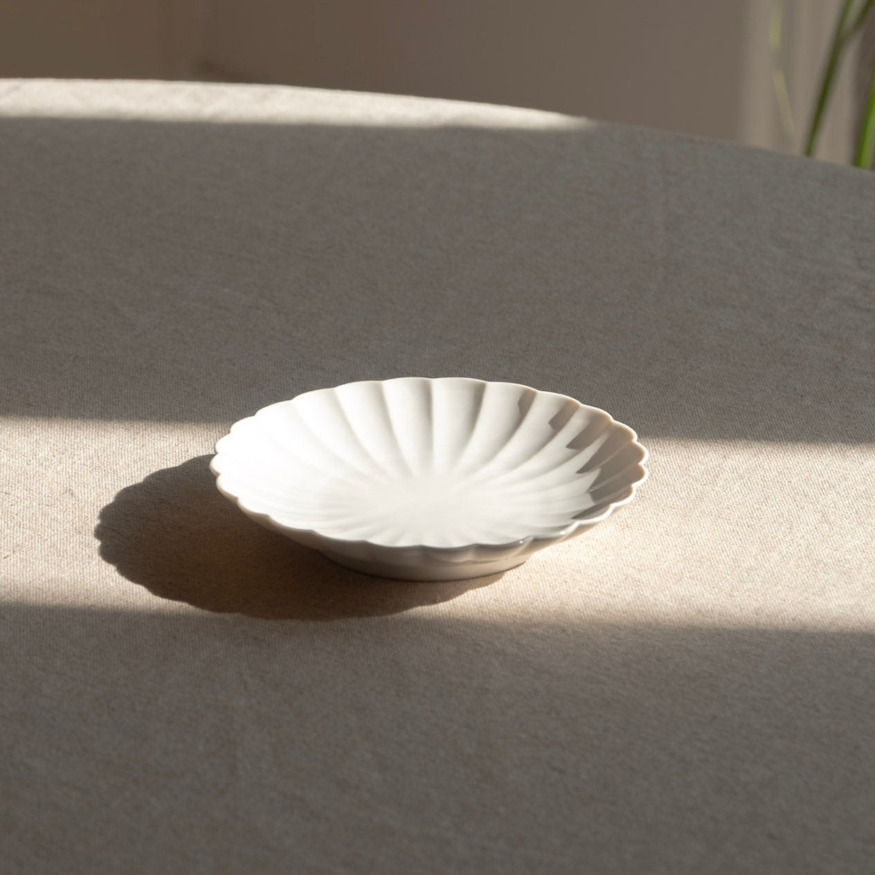 Small white ceramic dish on a textured surface with soft shadows