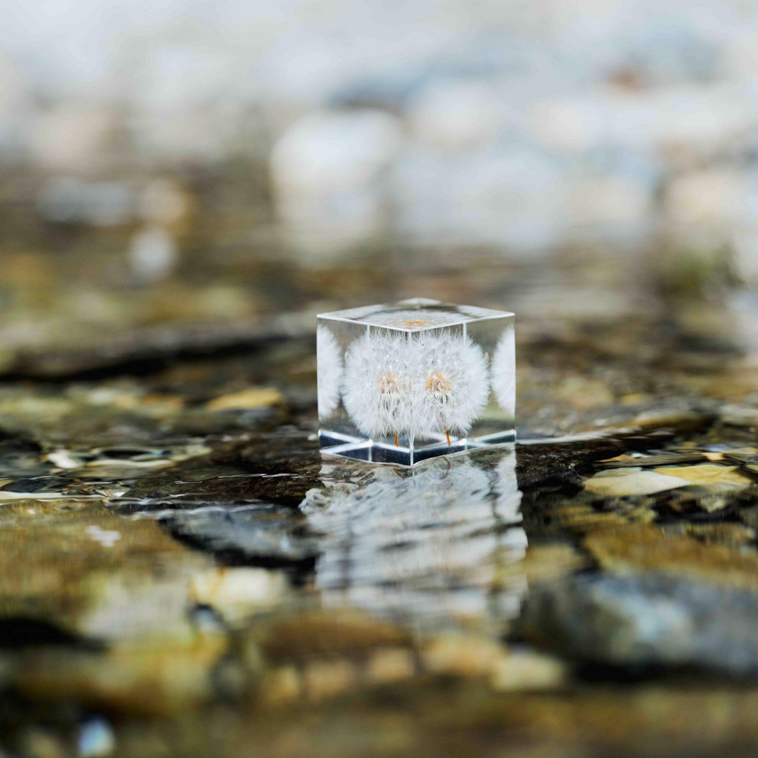 Clear crystal cube with engraved design on a rocky surface