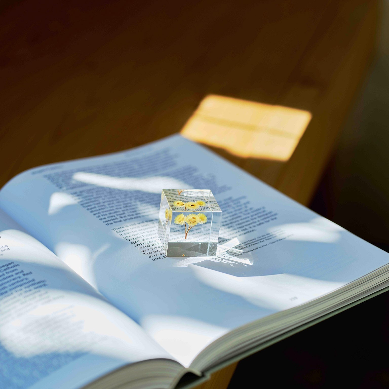 Open book with a small transparent crystal-like object on a wooden surface