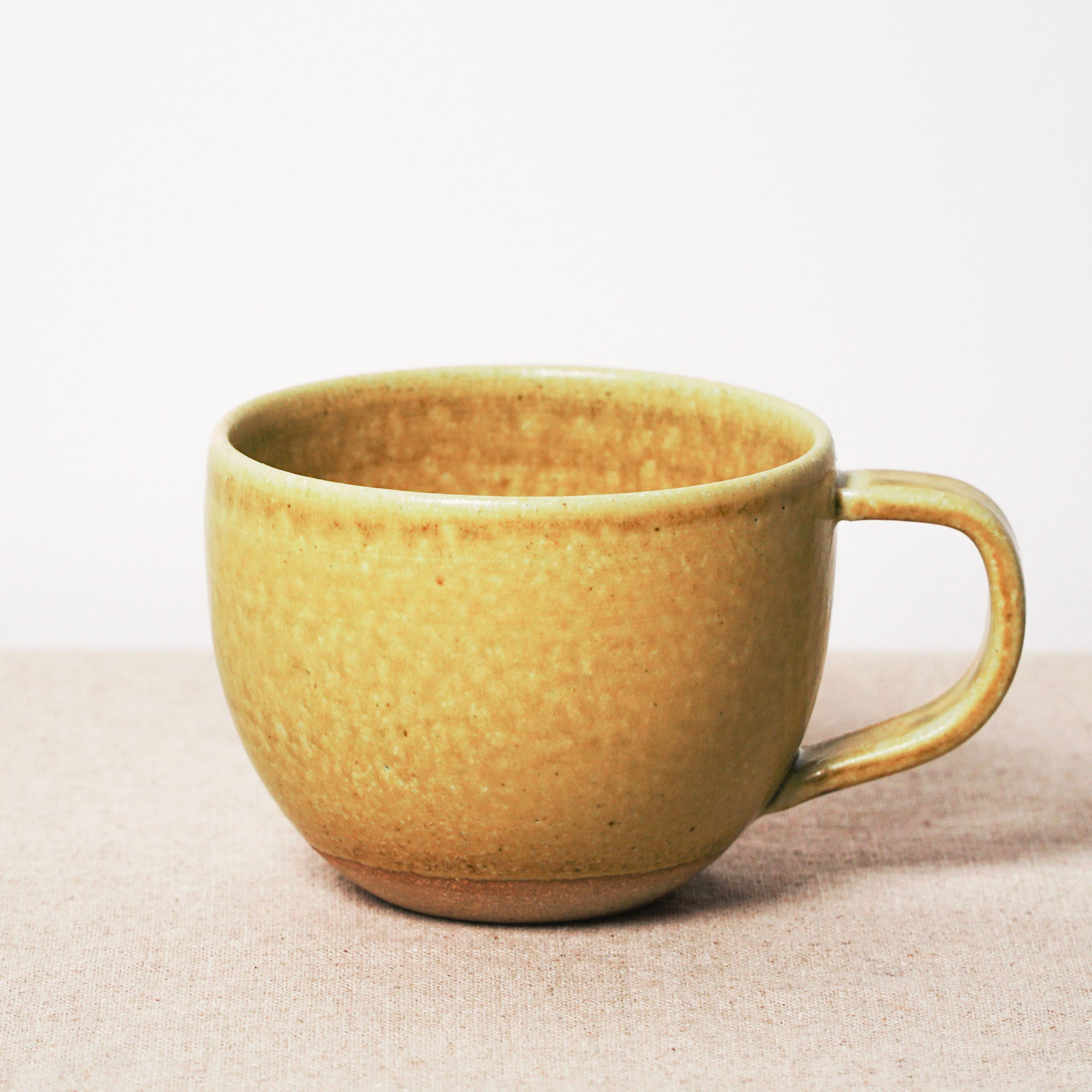 Shigaraki Ware Mug