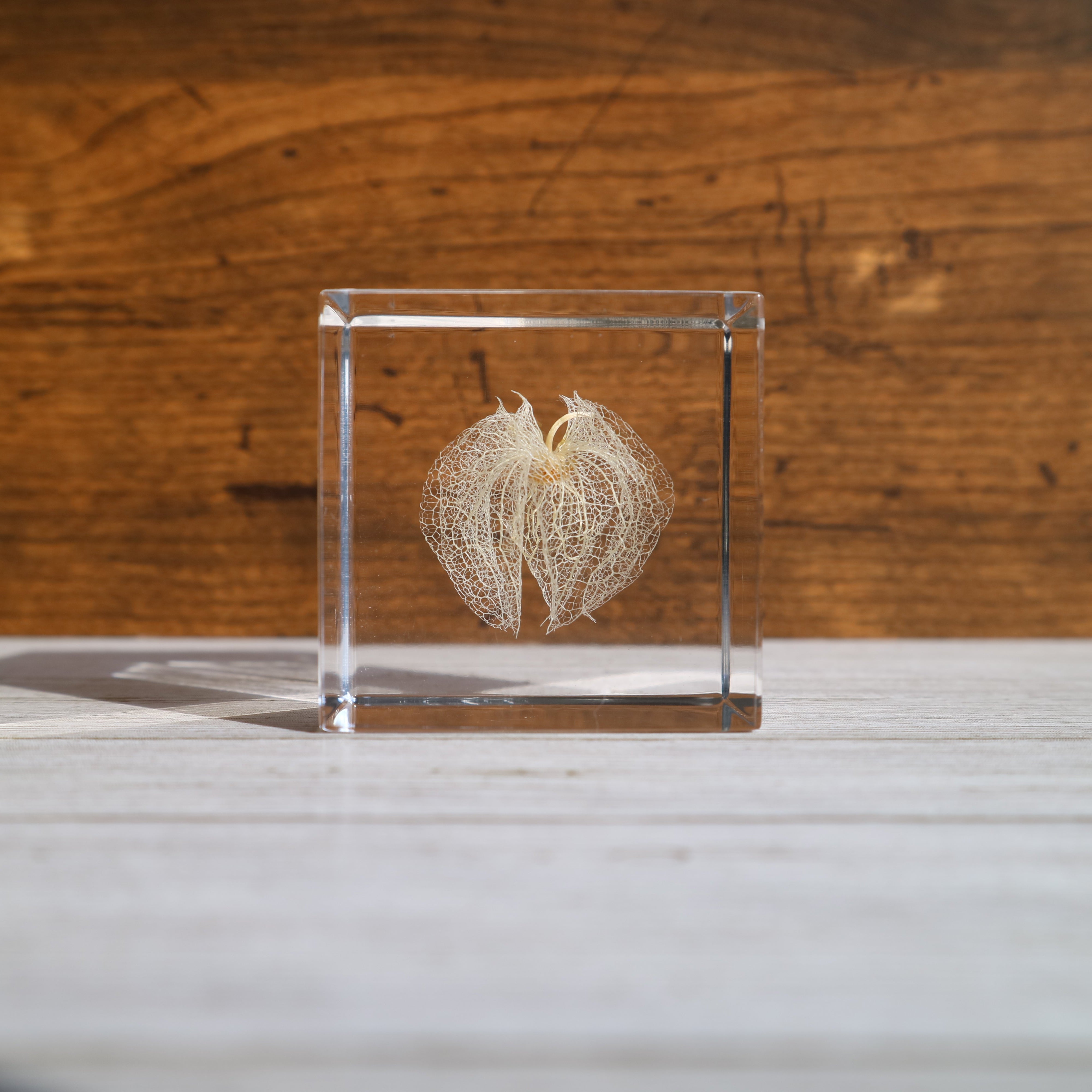 Clear crystal block with engraved design on a wooden surface