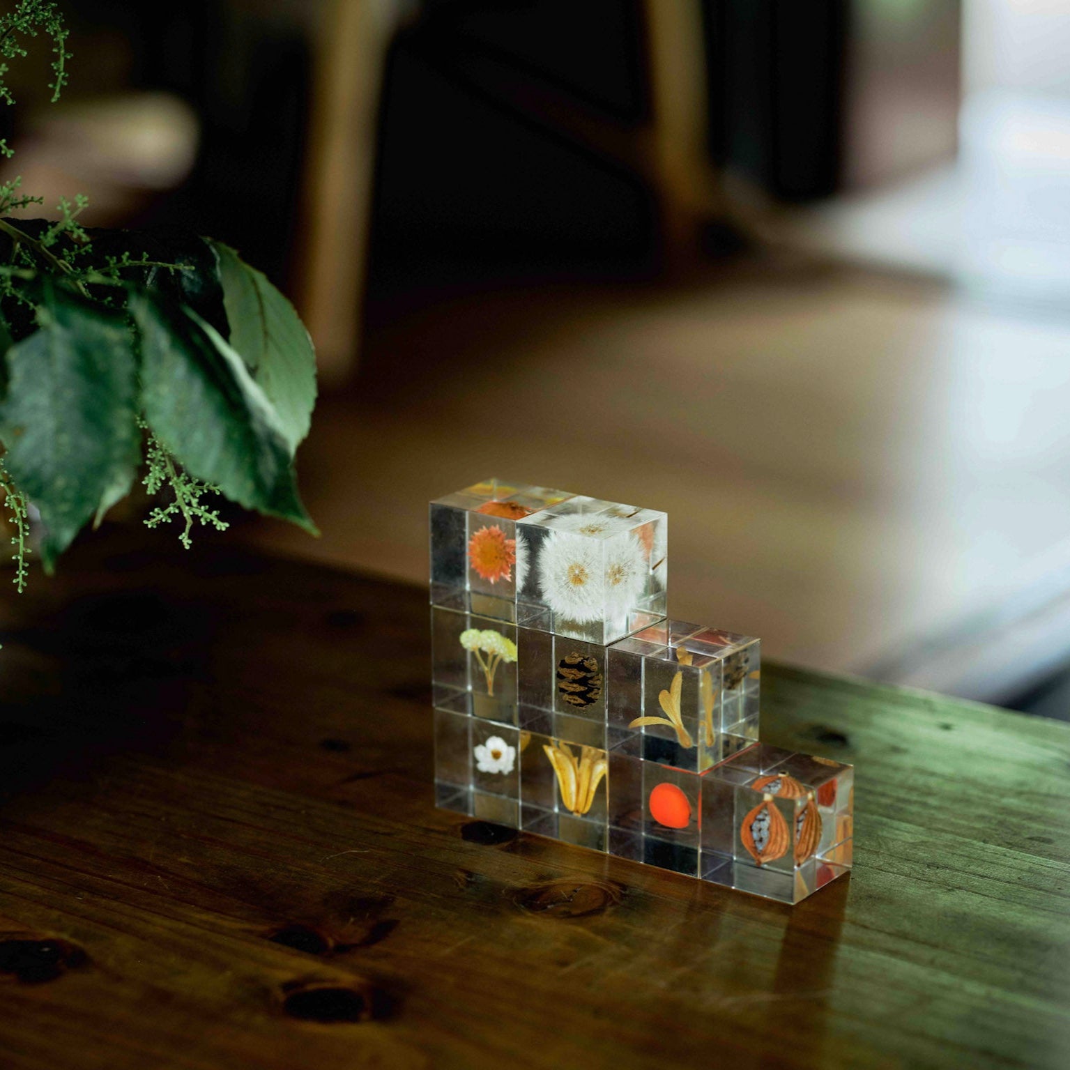 Stack of transparent cubes with embedded flowers on a wooden surface