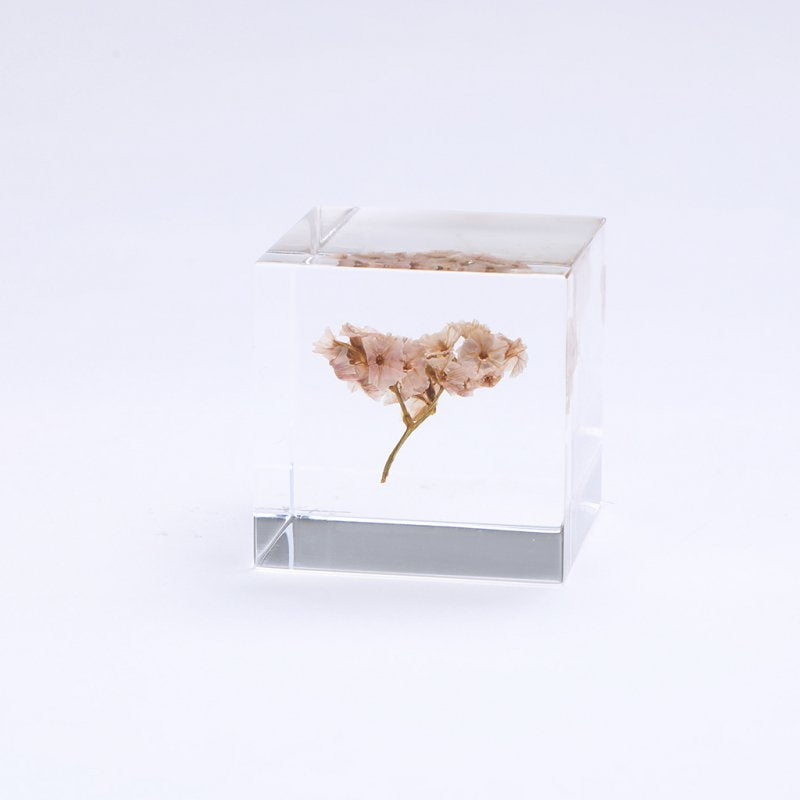 Sea Lavender SOLA CUBE