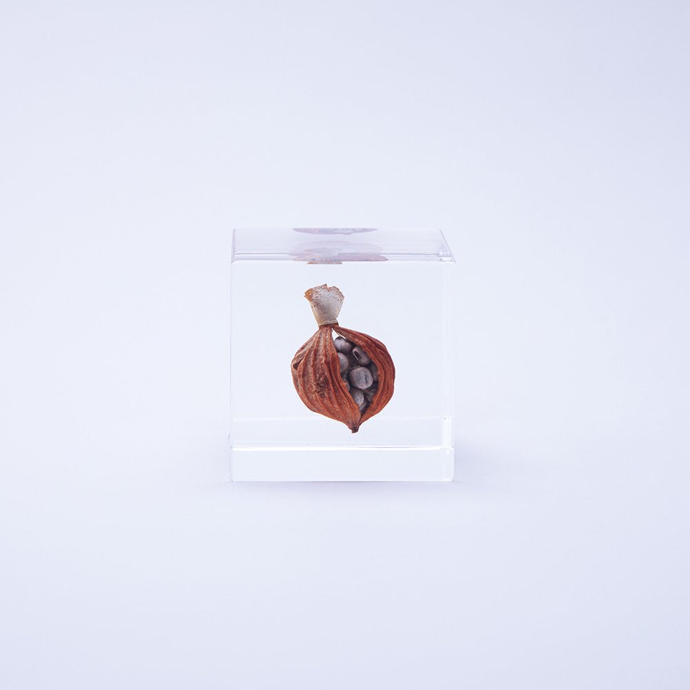 Small decorative item resembling a seed pod with a white background