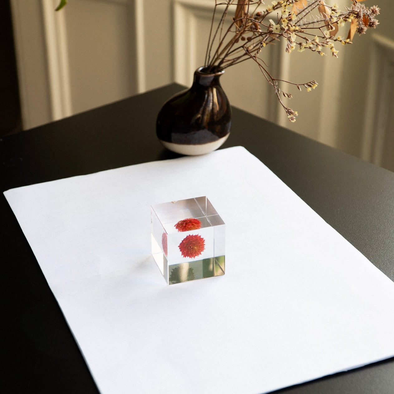 Globe Amaranth SOLA CUBE